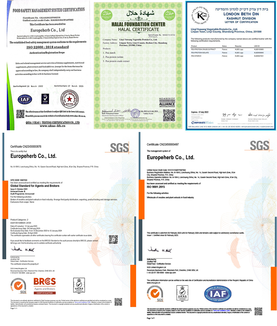 エンドウ豆プロテインの名誉