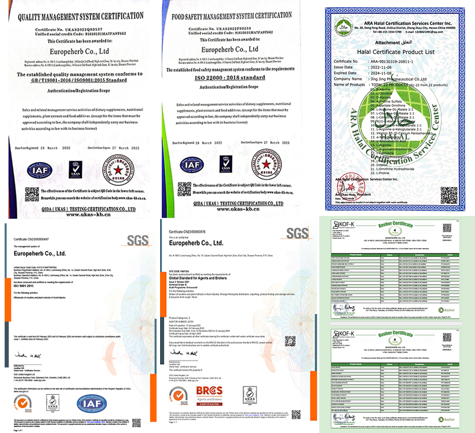 ヒマワリ-レシチン-名誉